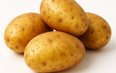 Potato Development: Insights by Madhu Savara | Complete Guide