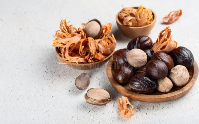 Mace (Javitri): Origins, Benefits & Uses by MadhuSavara