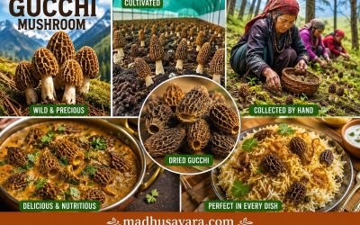 Gucchi Mushroom, also known as the Morel Mushroom, is one of the world’s most prized edible fungi. Found in the Himalayan forests, it is valued for its rich flavour, nutritional benefits, rarity and economic importance. Explore its history, cultivation, uses, market demand, export potential and contribution to rural livelihoods.