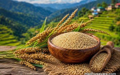 Jhangora (Barnyard Millet): The Lost Himalayan Superfood of Uttarakhand – Benefits, Nutrition, Uses & Traditional Recipes