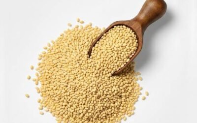 Home 11 Kangni (Foxtail Millet): Nutrition, Benefits & Sustainable Farming in India